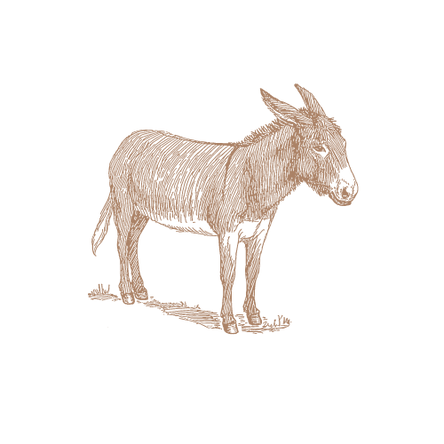 10.png